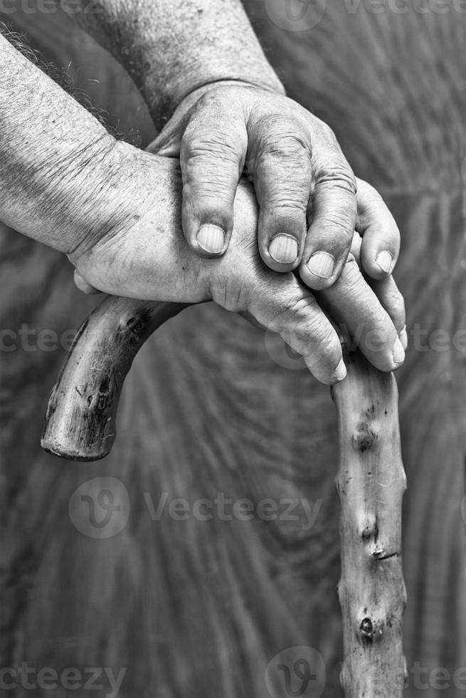 Hands and stick photo