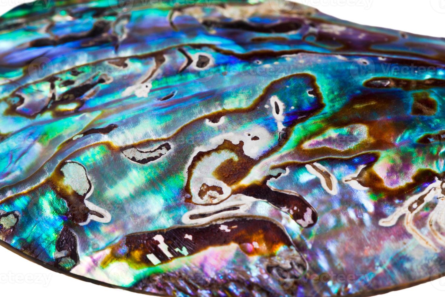 nacreous surface close up photo
