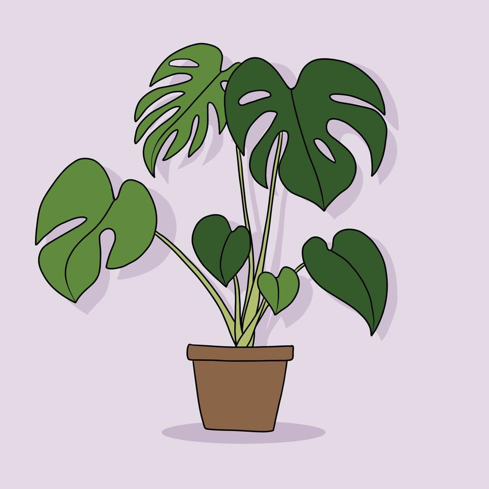 simplicidad monstera planta dibujo a mano alzada diseño plano. vector