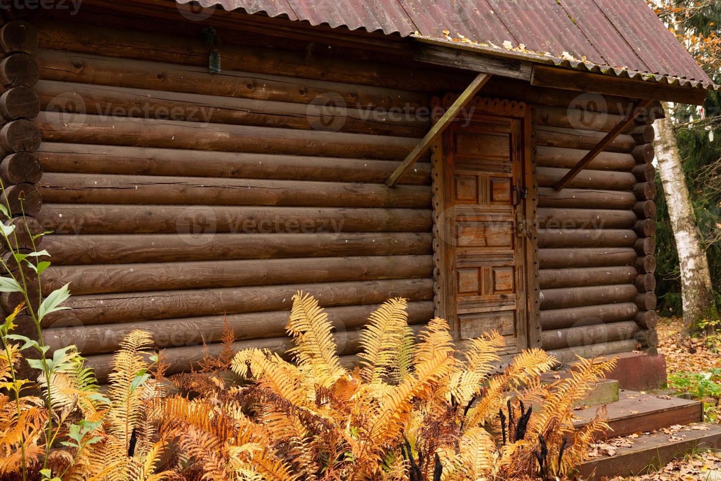 Wooden one-storey house in the forest in the autumn season. photo