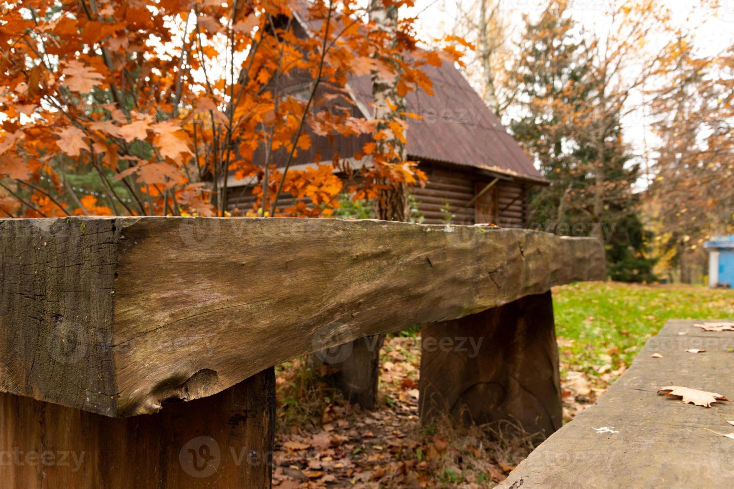 An autumn idyll, a lonely park bench awaits visitors. photo