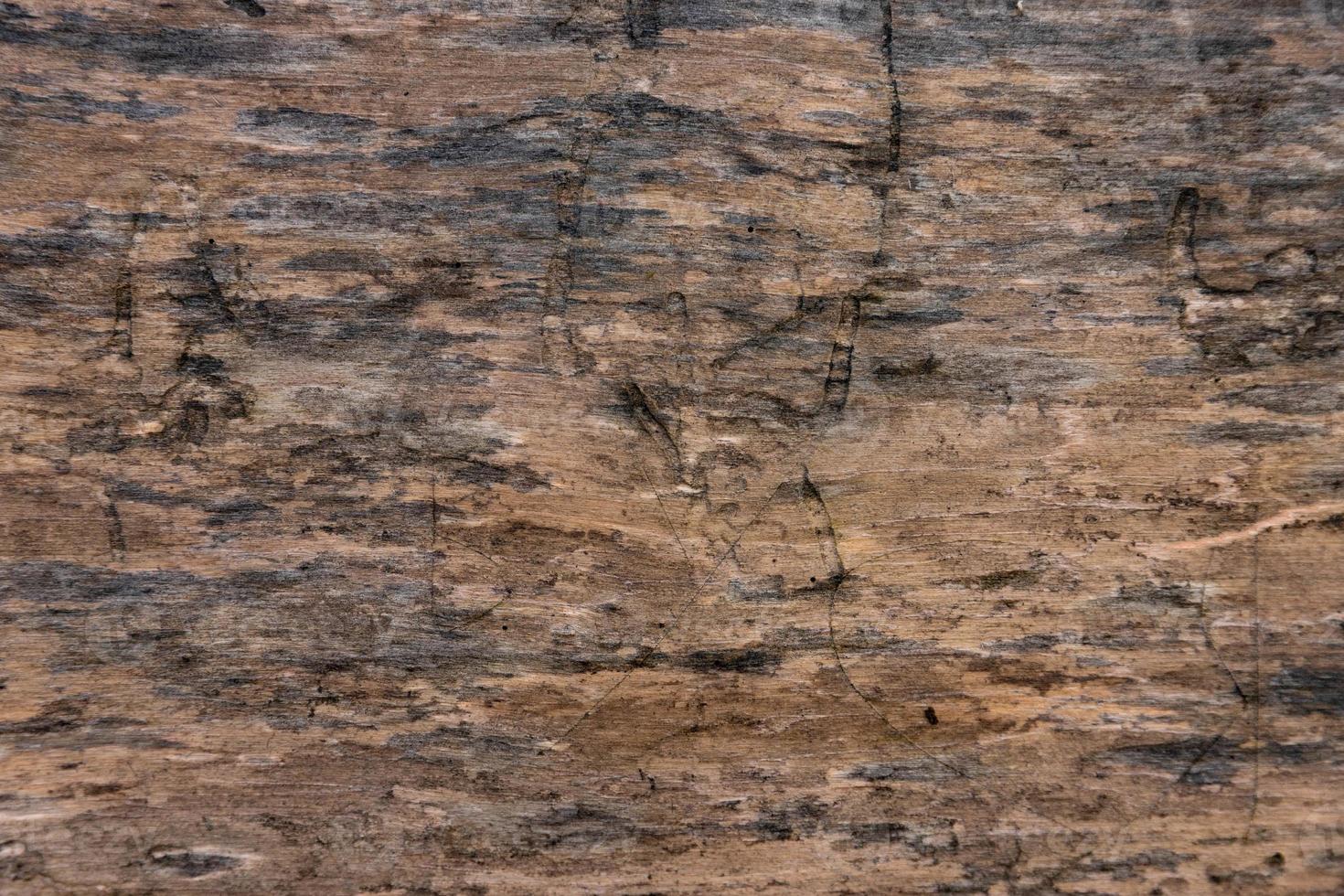 Old rough, natural, textured oak wood plank, close-up. photo