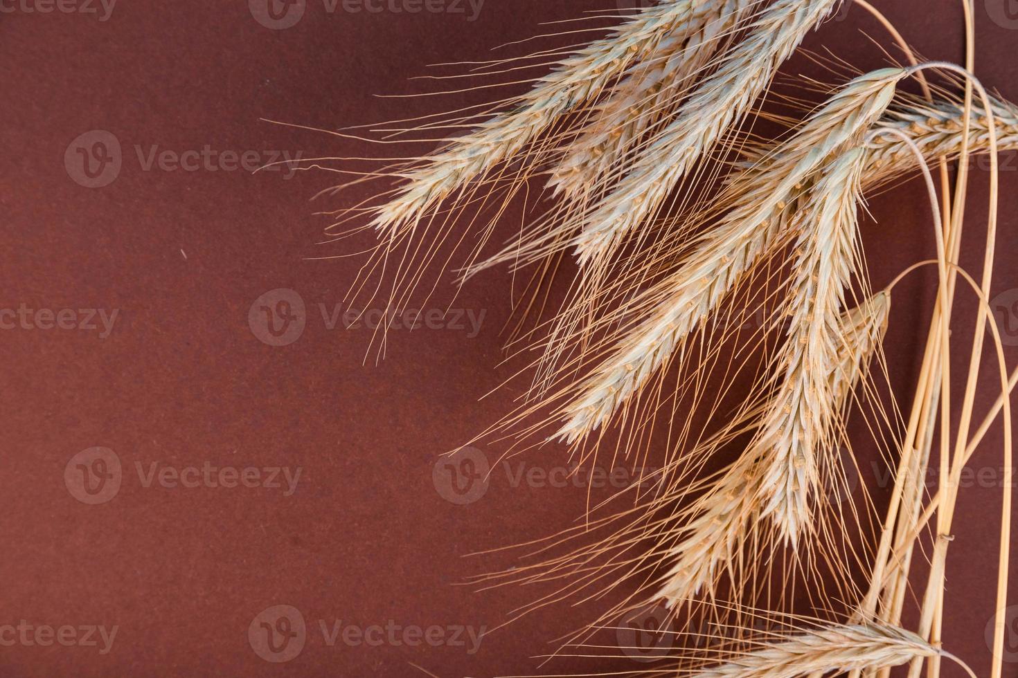 Wheat ears on old, brown, wooden background with copyspace photo