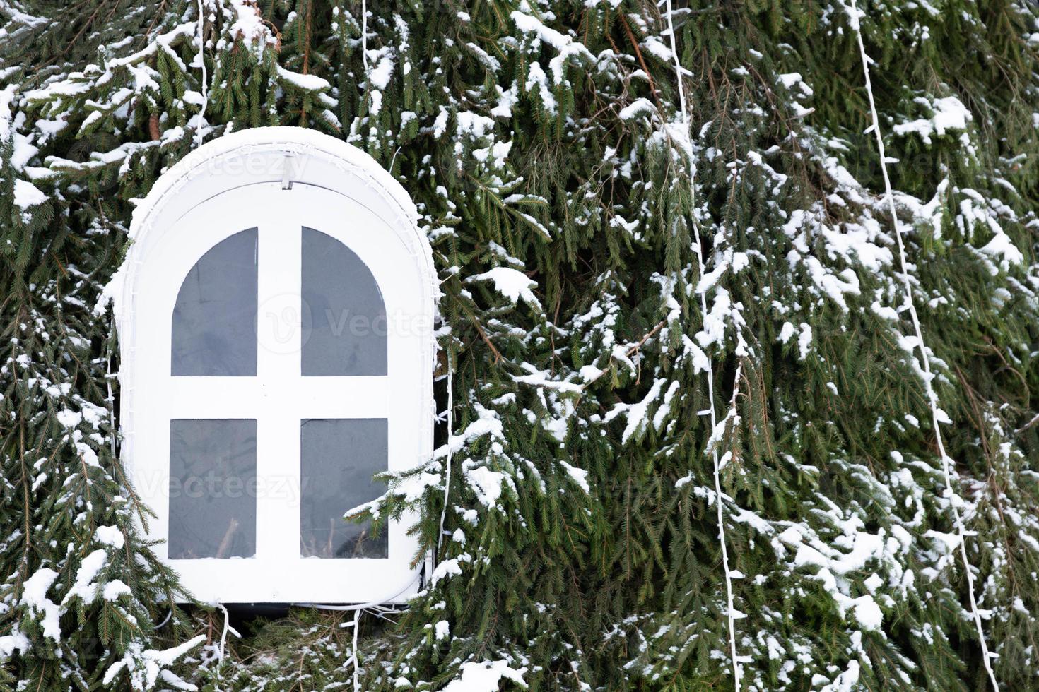 Christmas tree and window. Christmas and New Year concept. photo