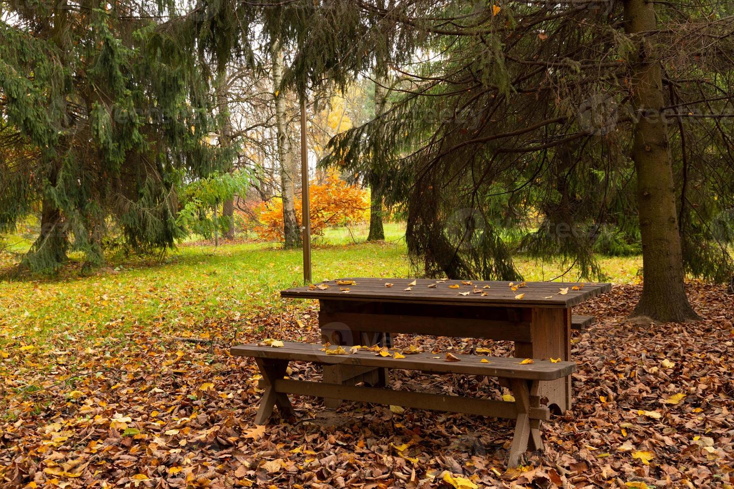 un idilio otoñal, un banco solitario en un parque espera a los visitantes. foto