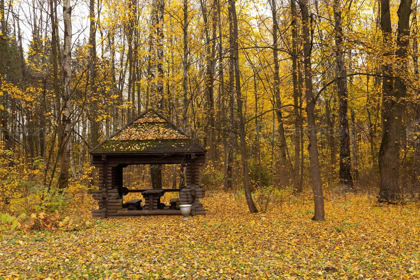 Covered seating area. Gazebos, gazebos in parks and gardens, relax and unwind. Wooden gazebo in the park photo