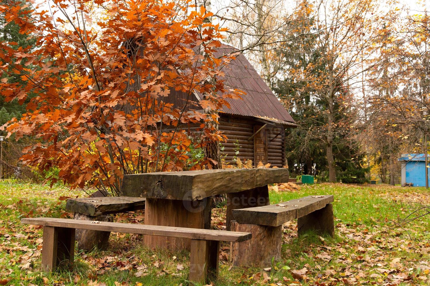 casa de madera de una planta en el bosque en la temporada de otoño. foto