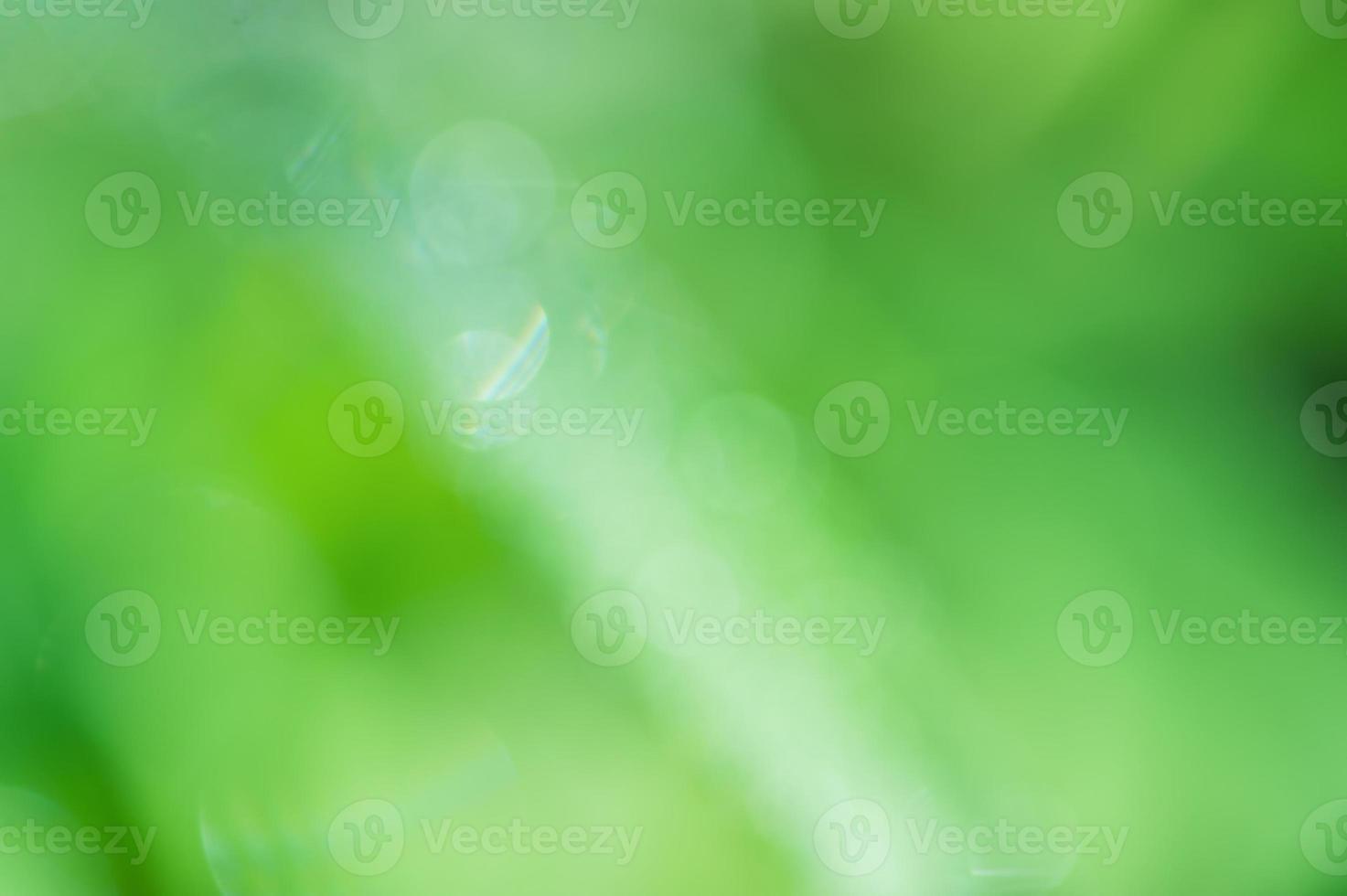 Blurred focus defocus light. Abstract background of natural green color. photo