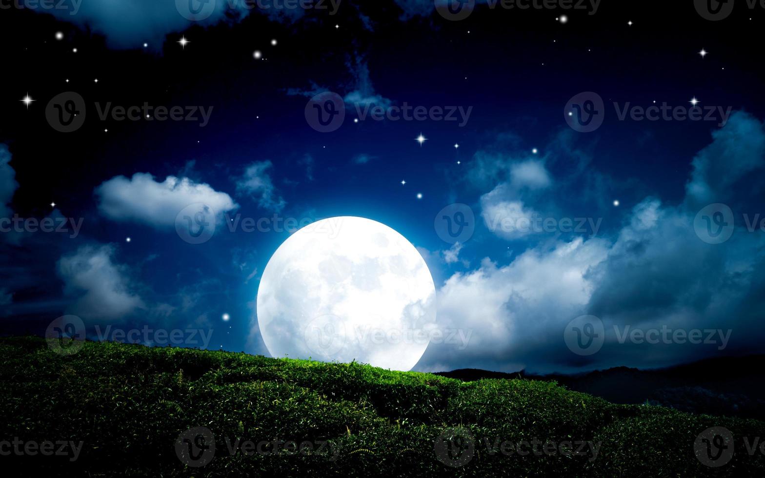 Wondderful fantasy night landscape photo