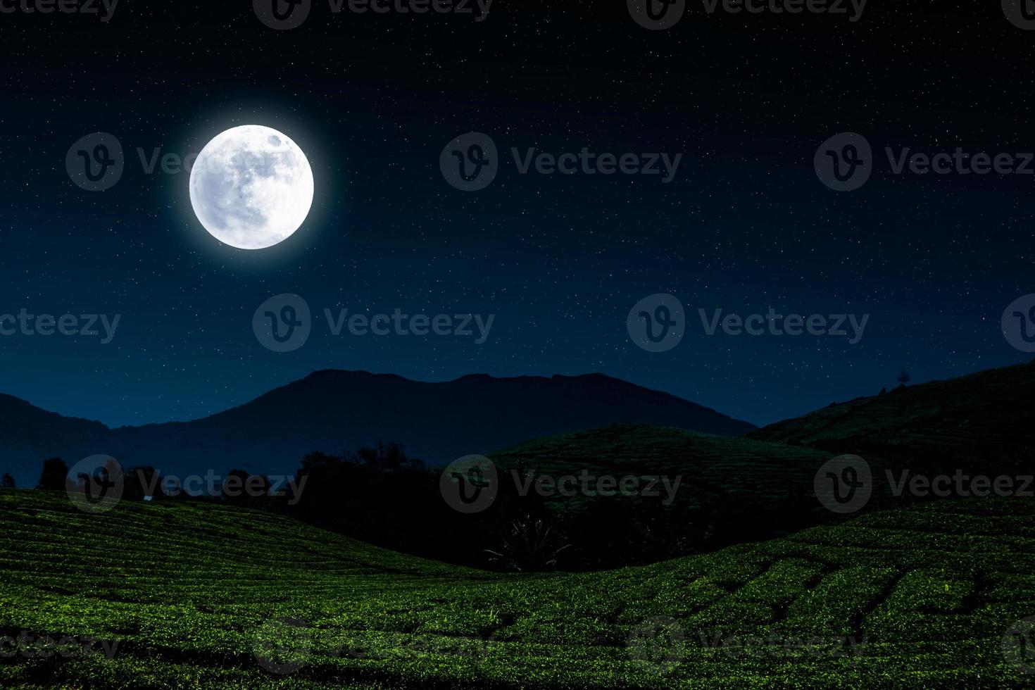 Night landscape in village with moon and stars. photo