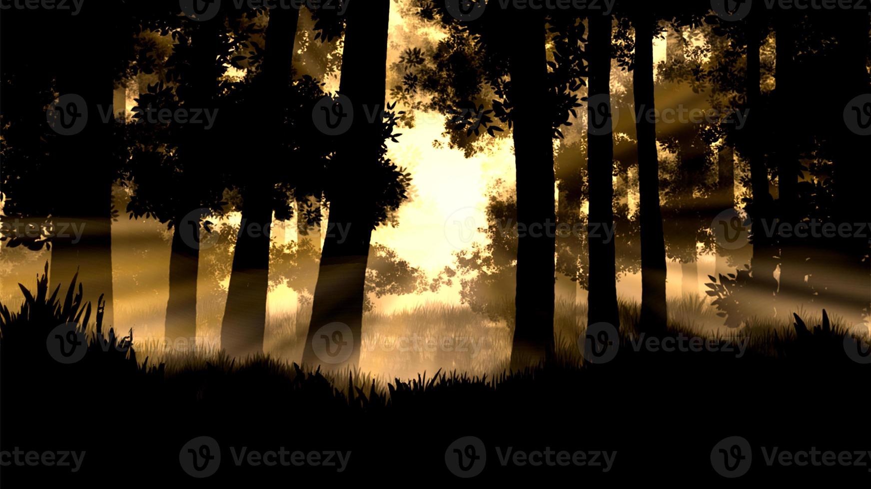 Sunrise in forest illustration. photo