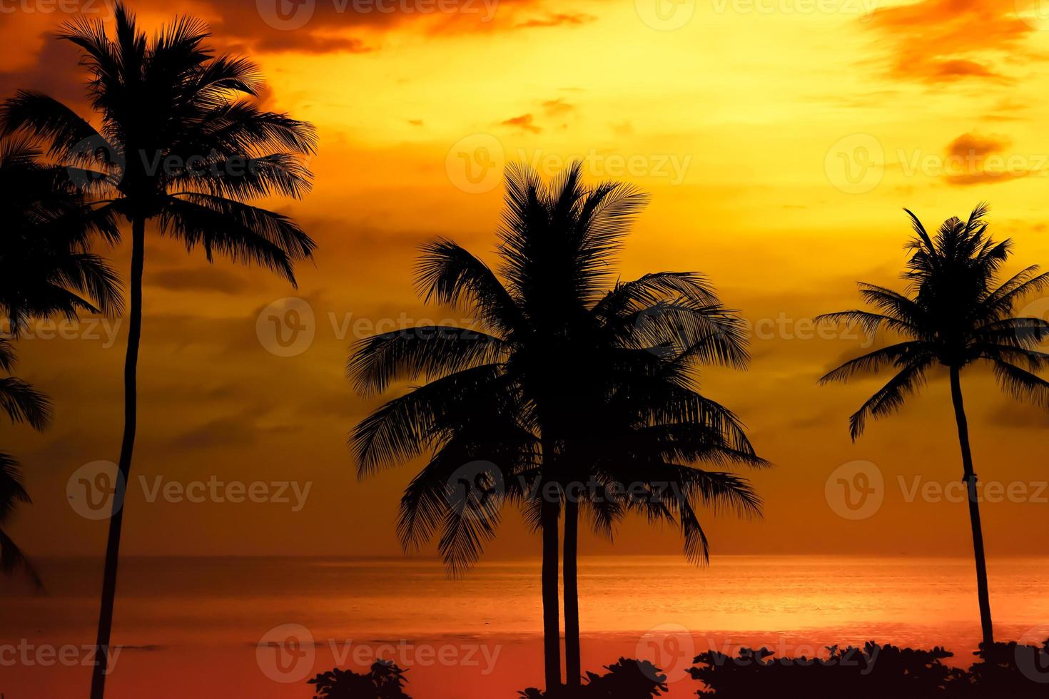 Beautiful sunset tropical beach with palm tree and pink sky for travel and vacation in holiday relax time photo