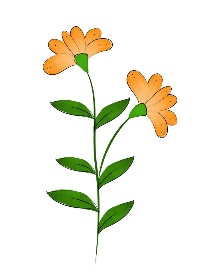 vector watercolor autumn orange wildflower