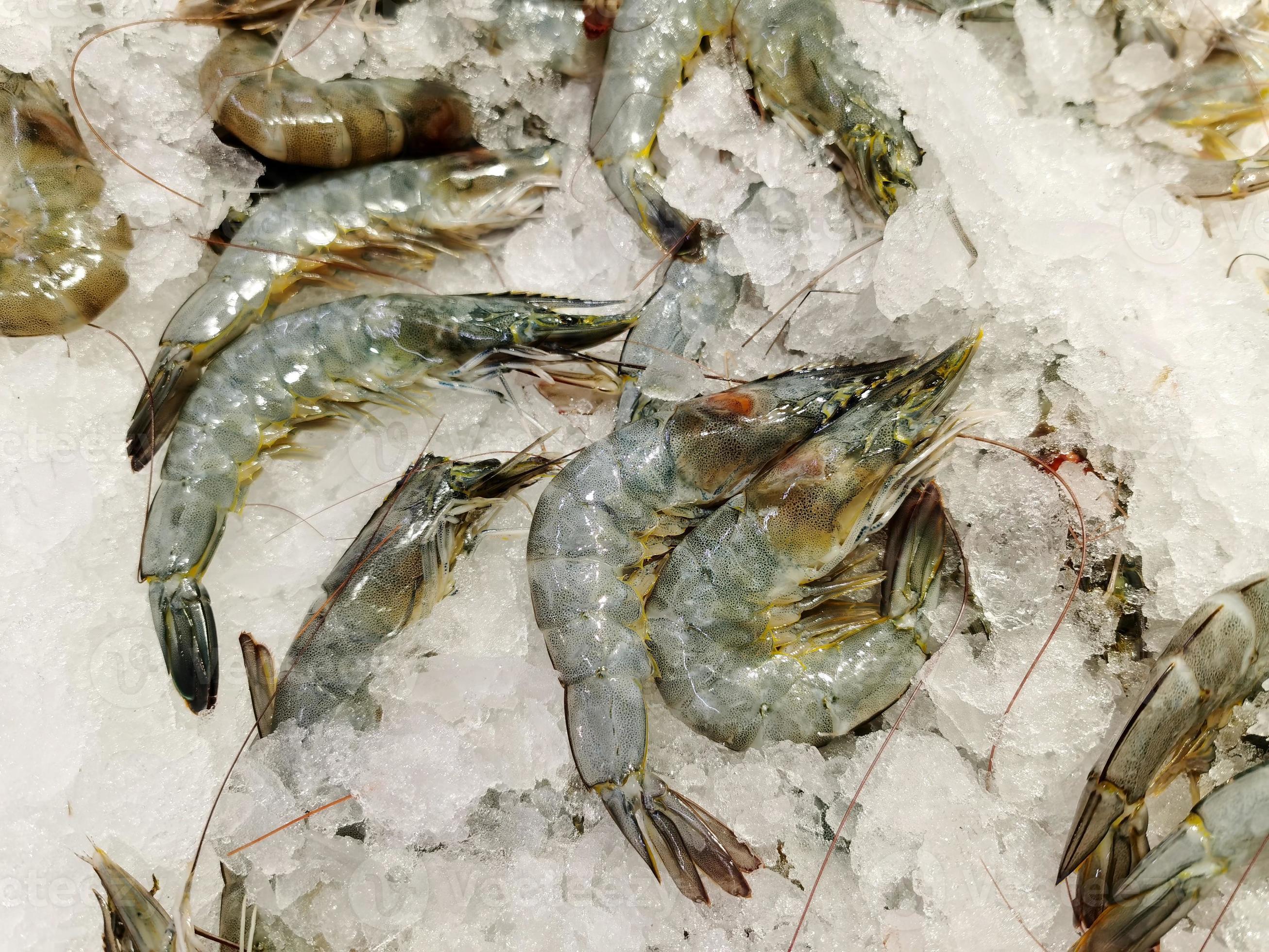 frozen fresh shrimp in supermarket 11870542 Stock Photo at Vecteezy