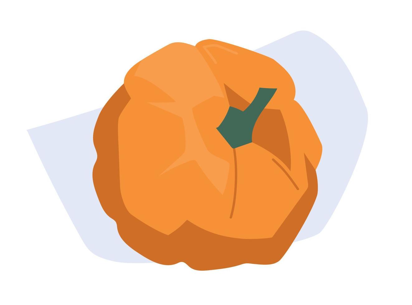 Pumpkin. Autumn vegetables. Vector image.