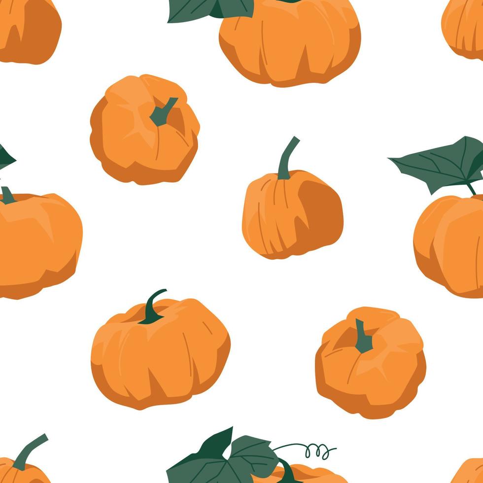 calabazas patrón sin costuras de calabazas. imagen vectorial vector