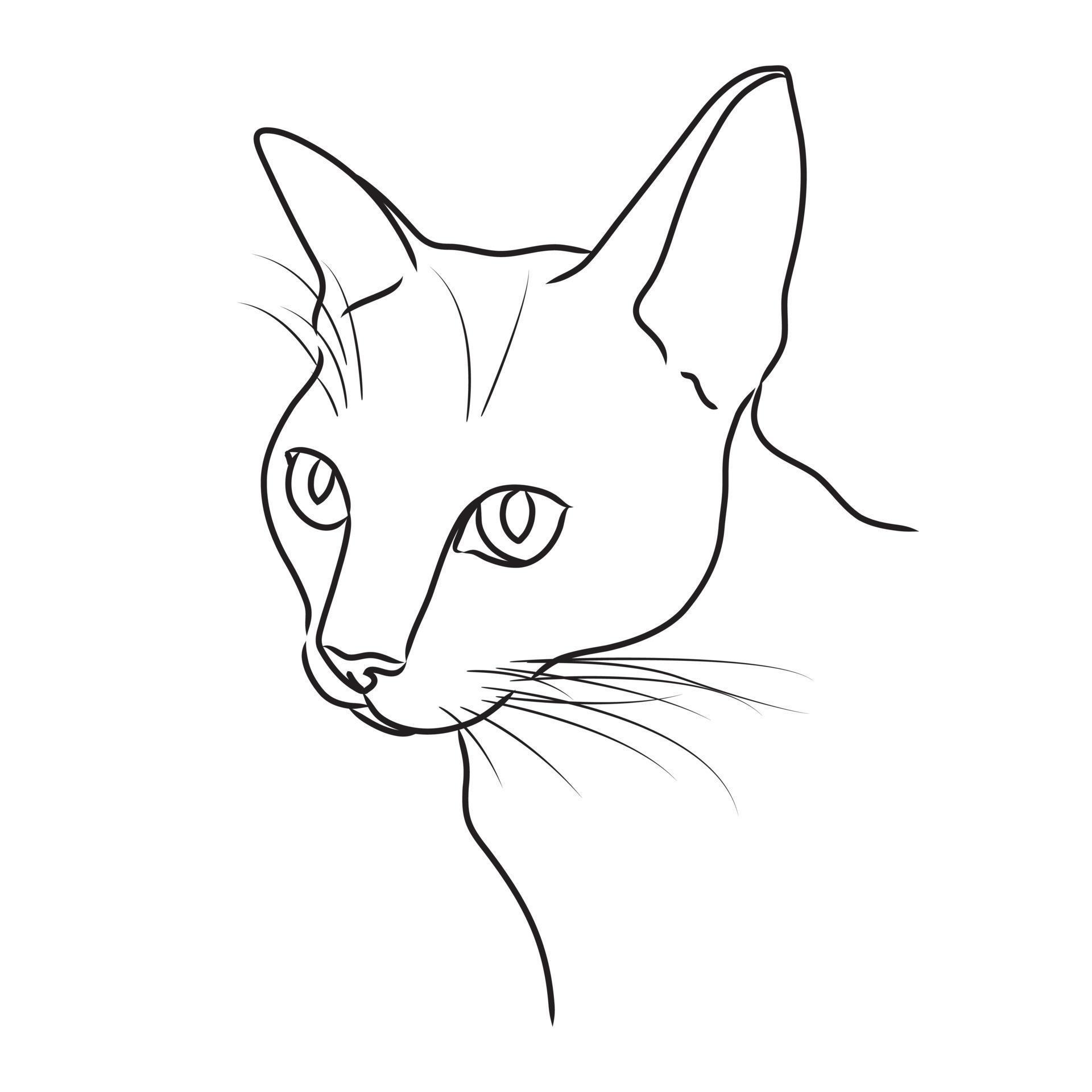 Vector black line drawing of a cat outline on a white background