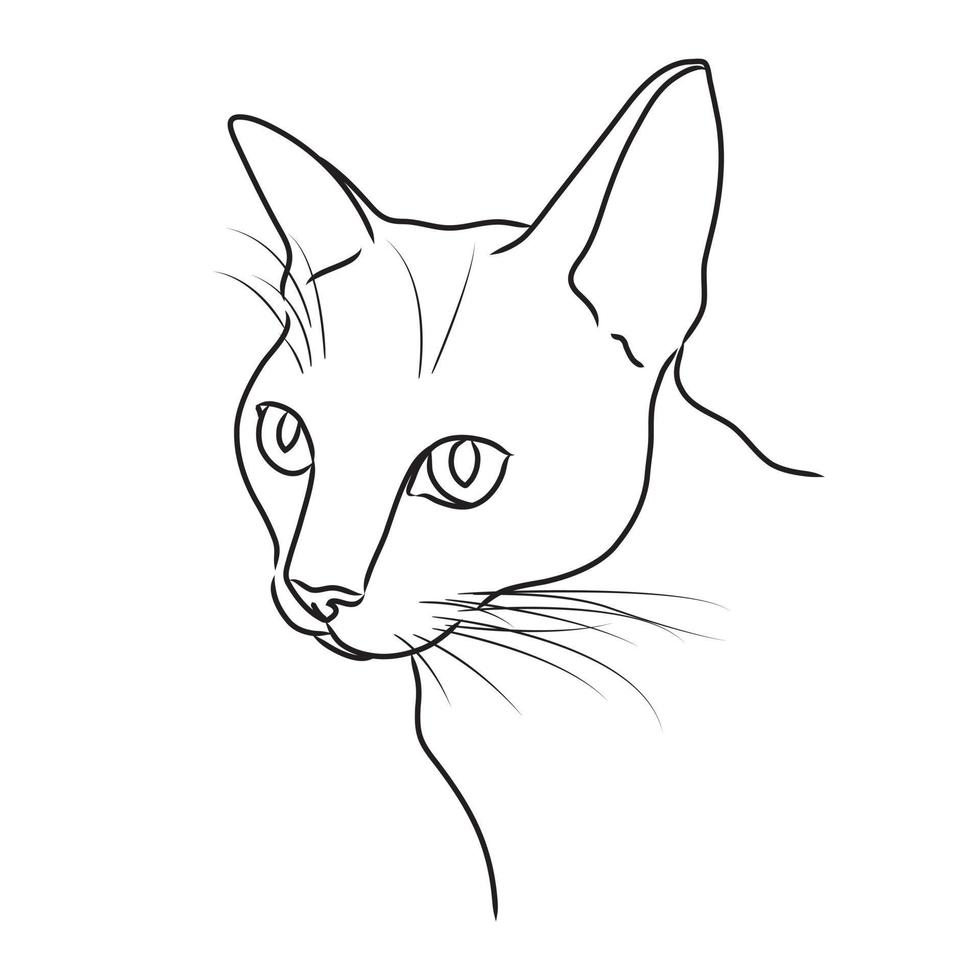 Vector black line drawing of a cat outline on a white background
