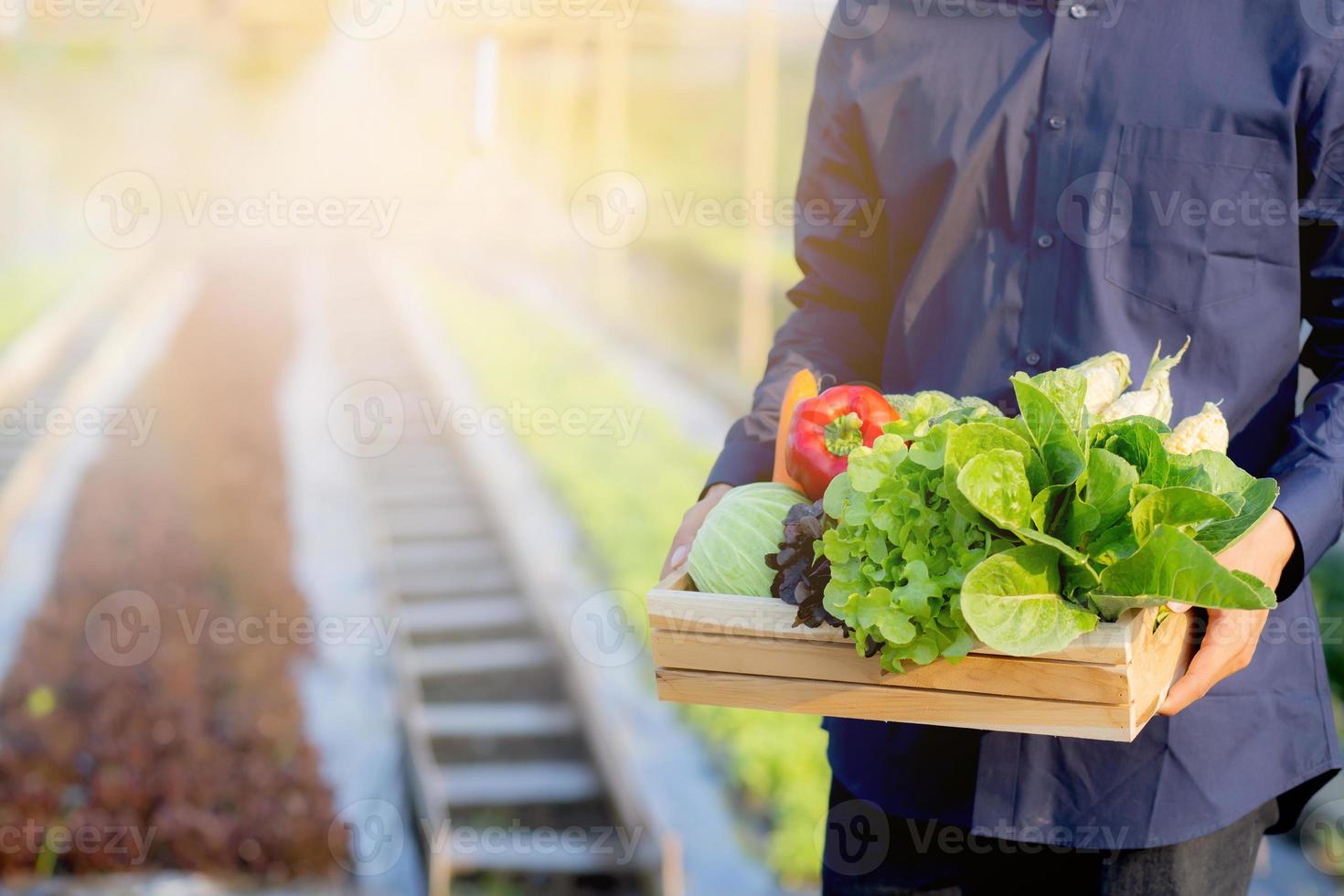 retrata a un joven asiático sonriendo cosechando y recogiendo huertas orgánicas frescas en una canasta en la granja hidropónica, agricultura y cultivo para alimentos saludables y concepto de negocios. foto