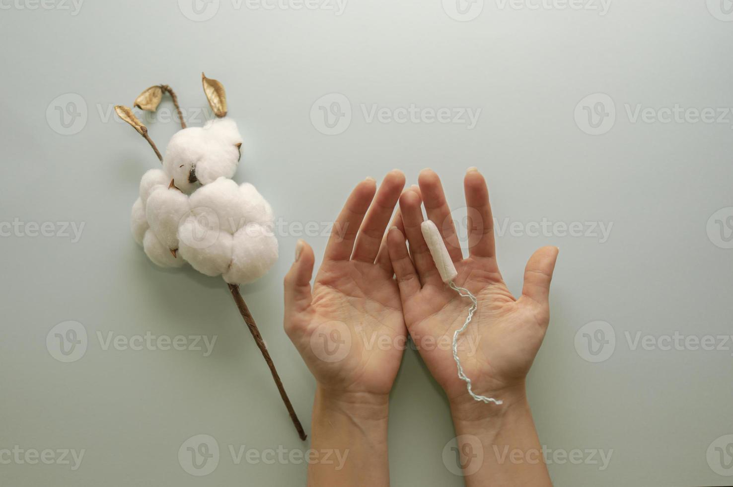 Woman hands holding a sanitary tampon for menstruation, a brunch of cotton lying nearby photo