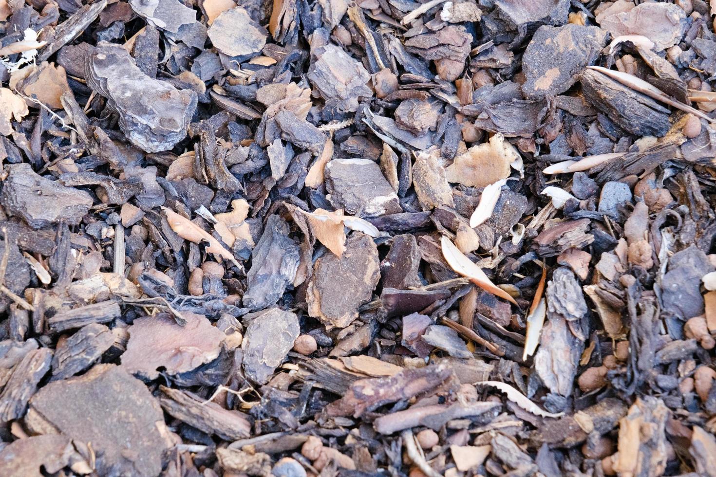 Tree bark mulch texture, outdoor, background, chestnut wood chips for ground bedding in the garden, shredded pine crust, pattern, mulching. photo