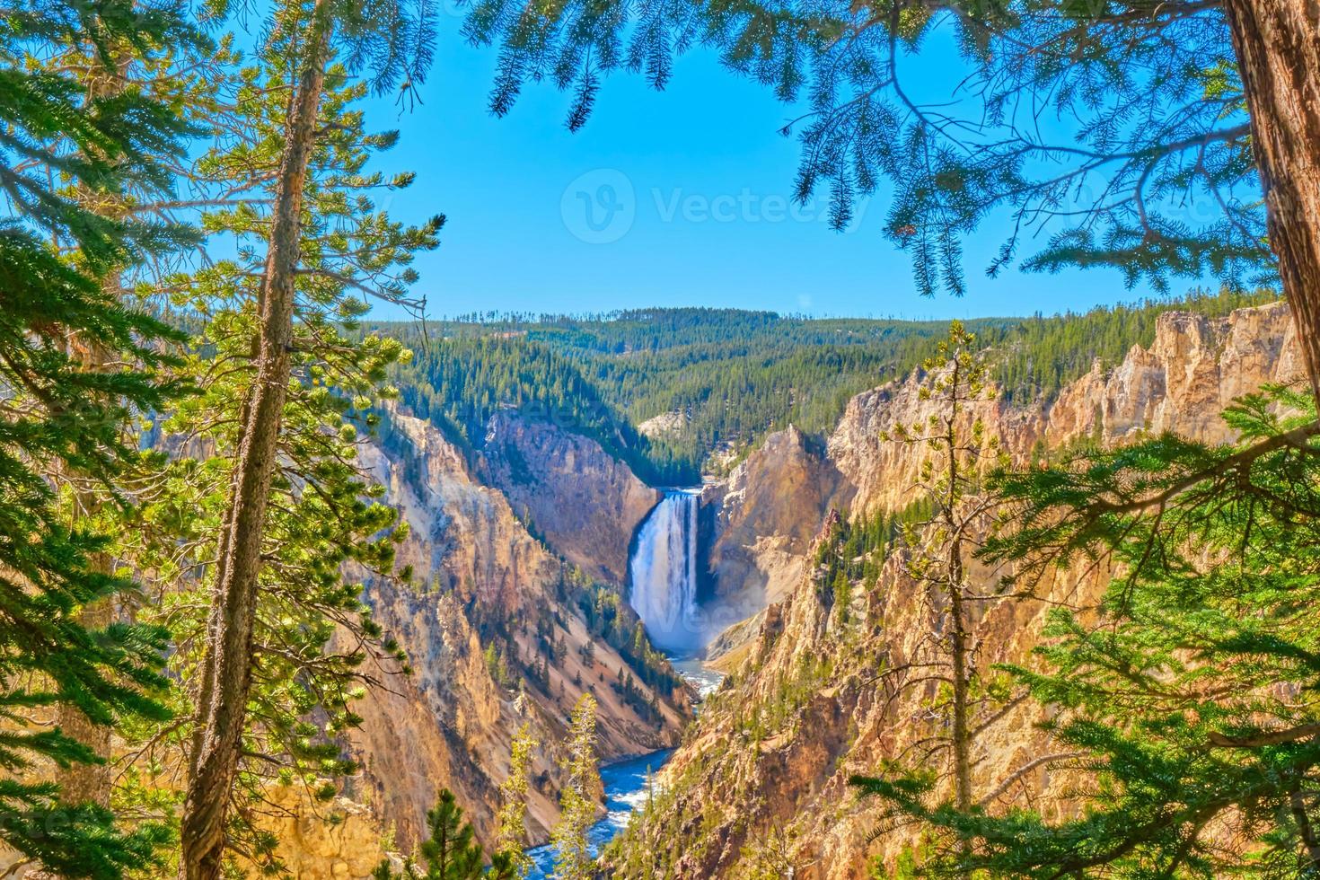 Lower falls of Yellowstone river in Yellowstone National Park photo