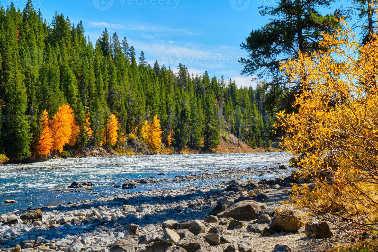 río de piedra amarilla y colores de otoño en una tarde soleada de otoño foto