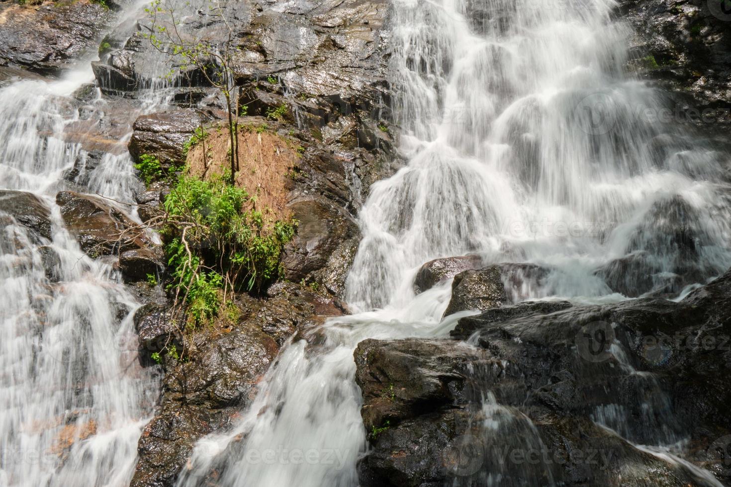 Amicalola Falls waterfall in Spring photo