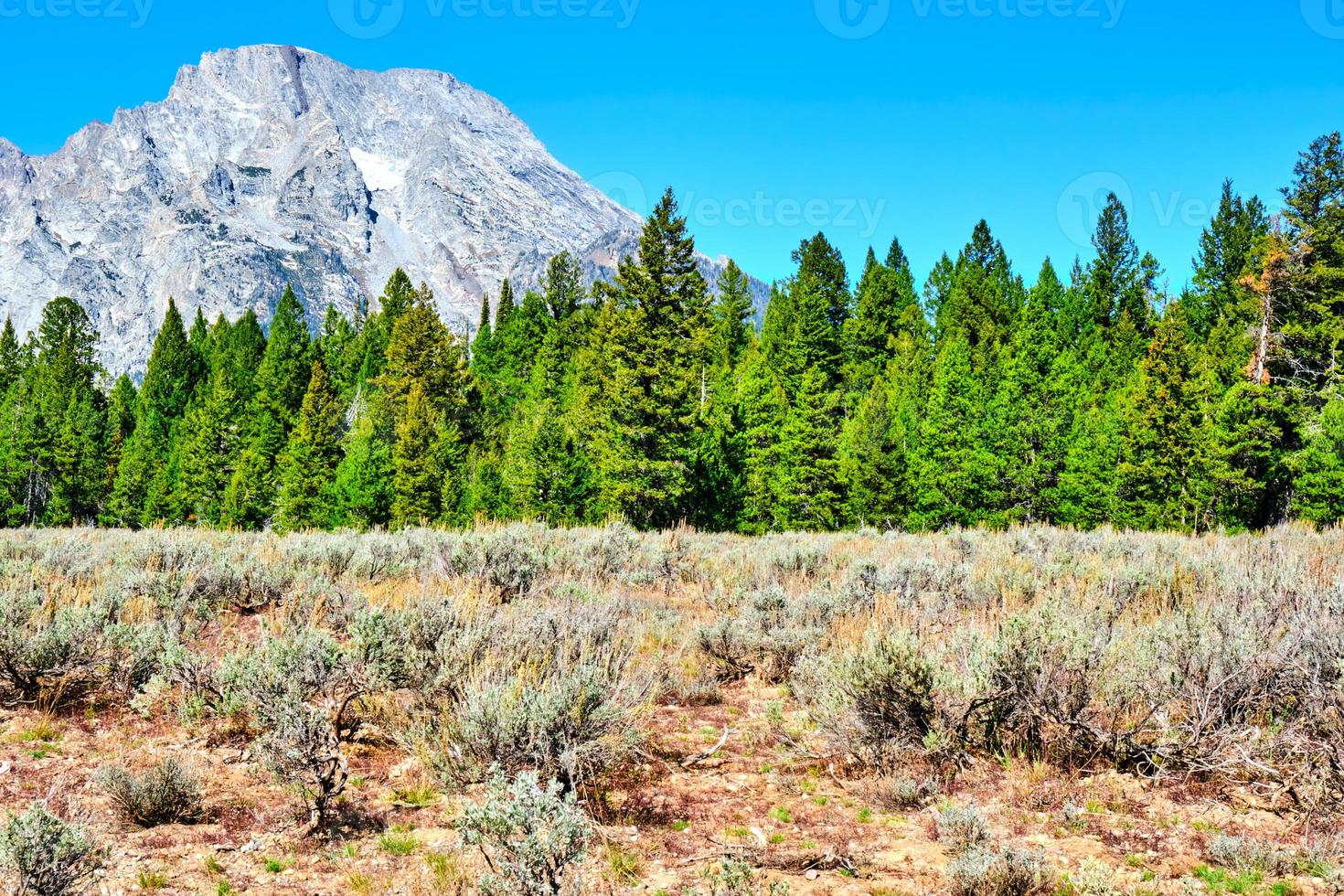 Grand Tetons on a clear Autumn day photo