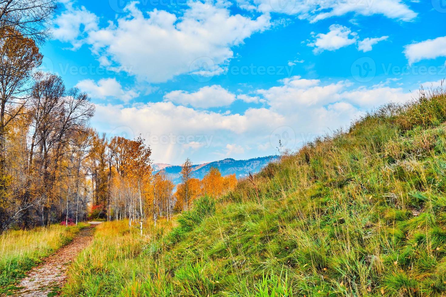 A trail in the Grand Tetons on an Autumn morning photo