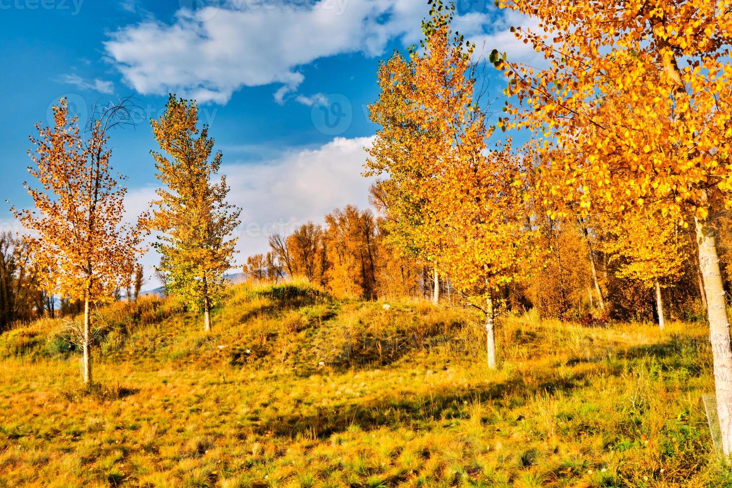 Autumn morning in the Grand Tetons photo