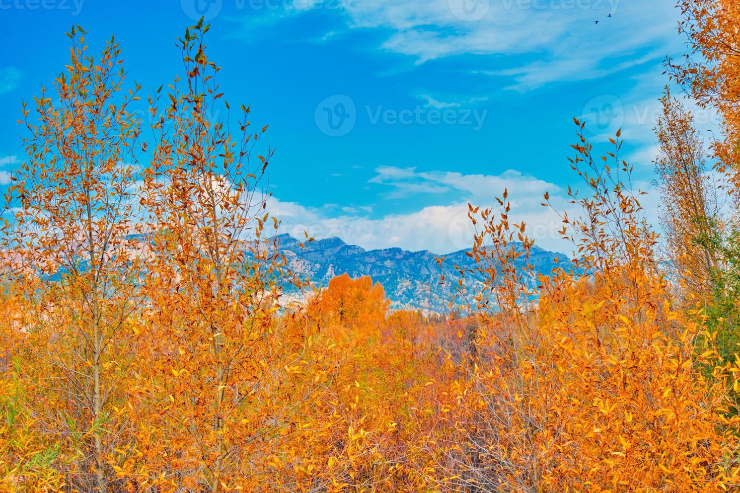 Teton mountain range Autumn landscape photo