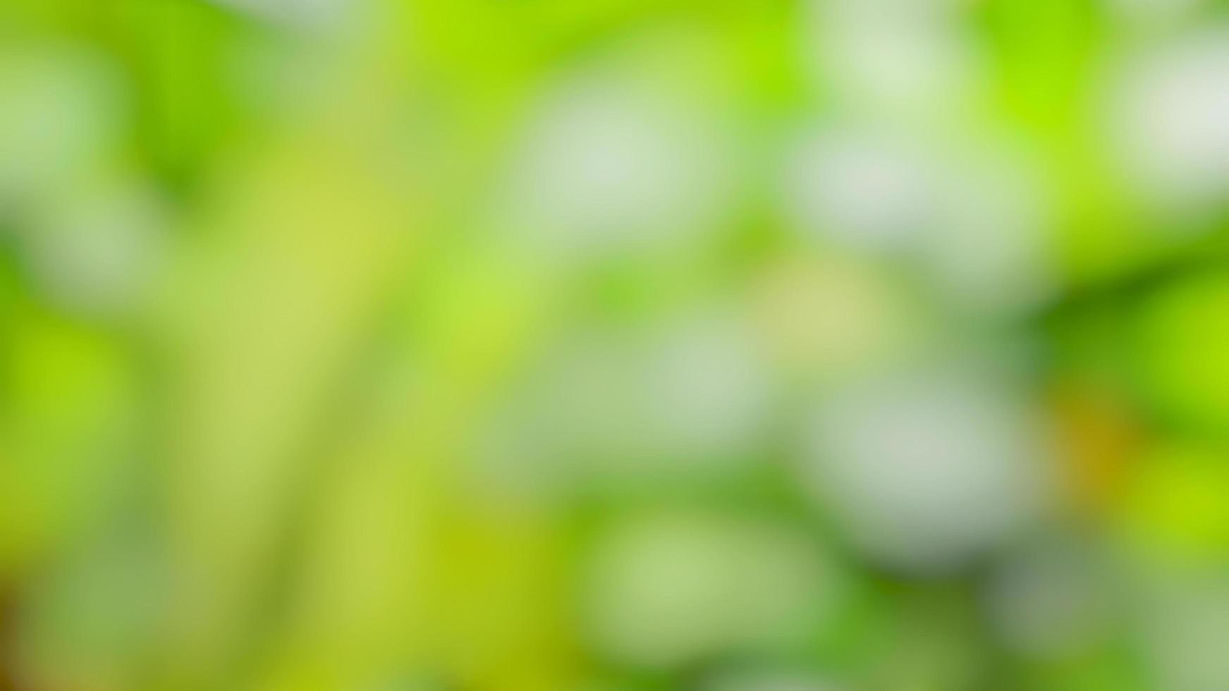 Blurred Abstract Green Nature Concept Background Design and ...