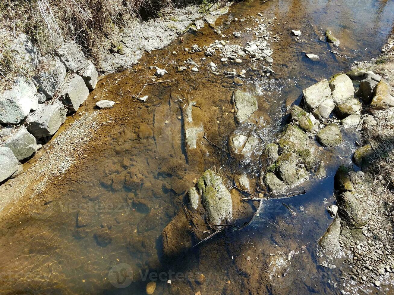 small creek or stream in the forest or woods photo