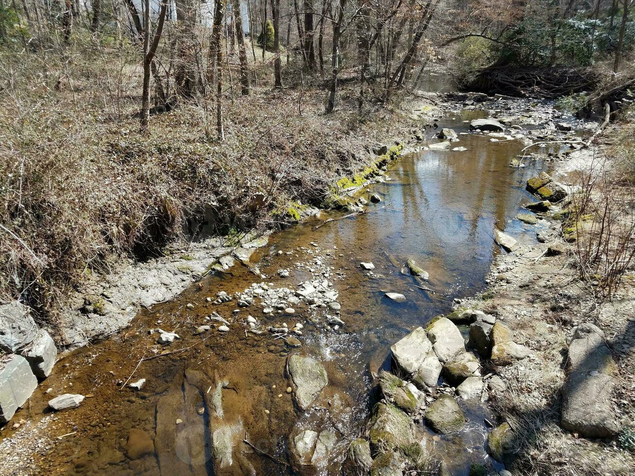 small creek or stream in the forest or woods photo