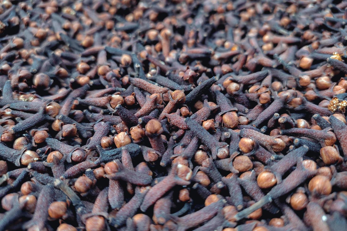 Close-up of dried cloves during the drying process in the sun photo