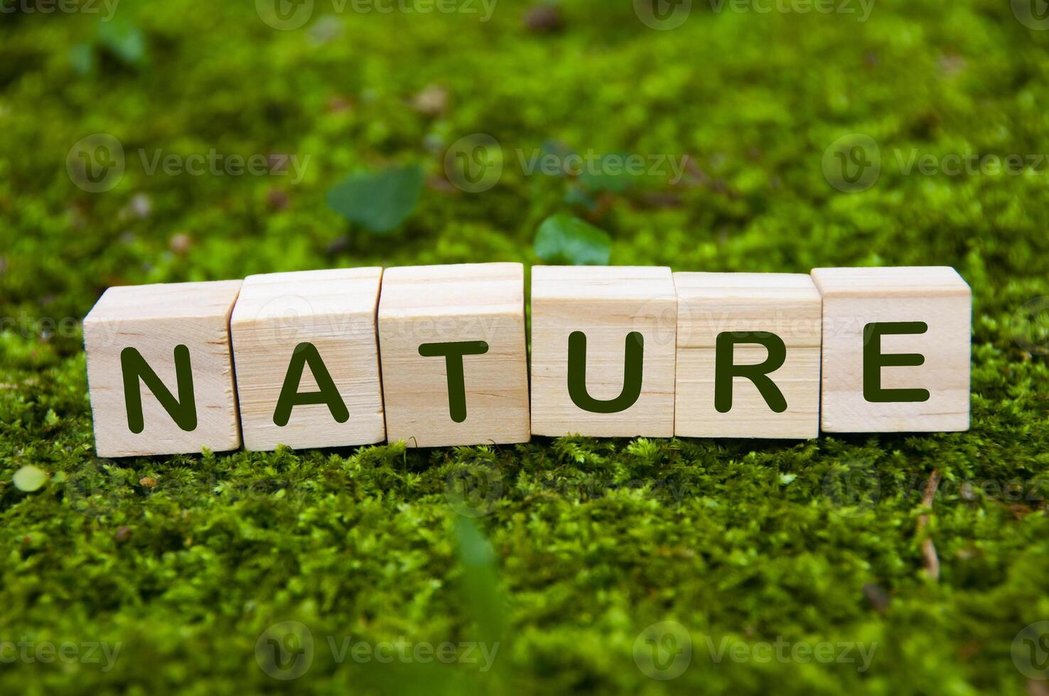 texto de naturaleza sobre bloques de madera con fondo de naturaleza verde. concepto de madre naturaleza foto