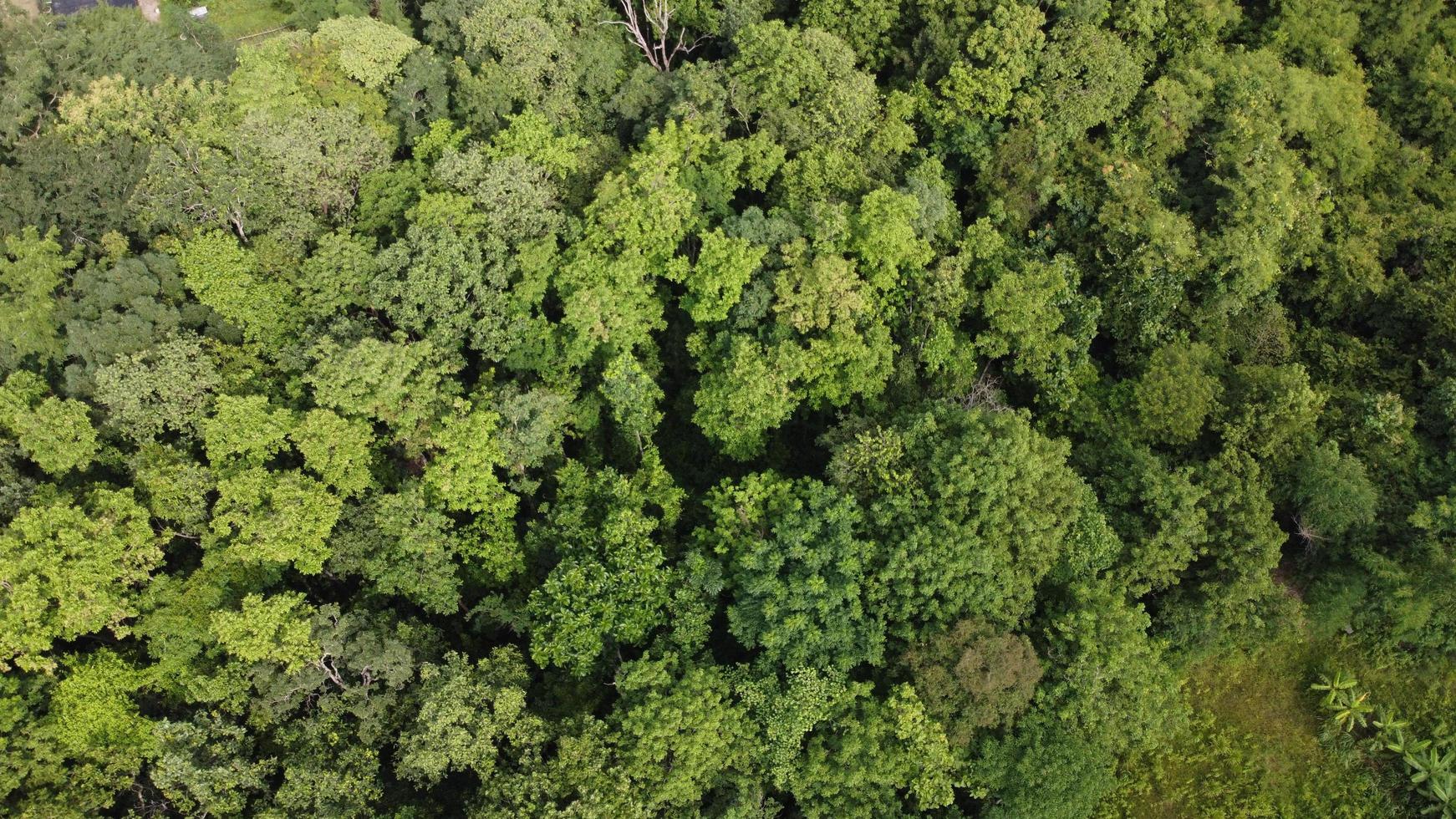 Beautiful aerial view to road with moutains and forest captured from above, photo