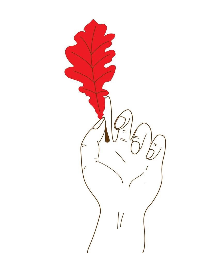 Hand holding red oak leaf. fallen autumn leaf. for decoration and background autumn. Isolated in white vector