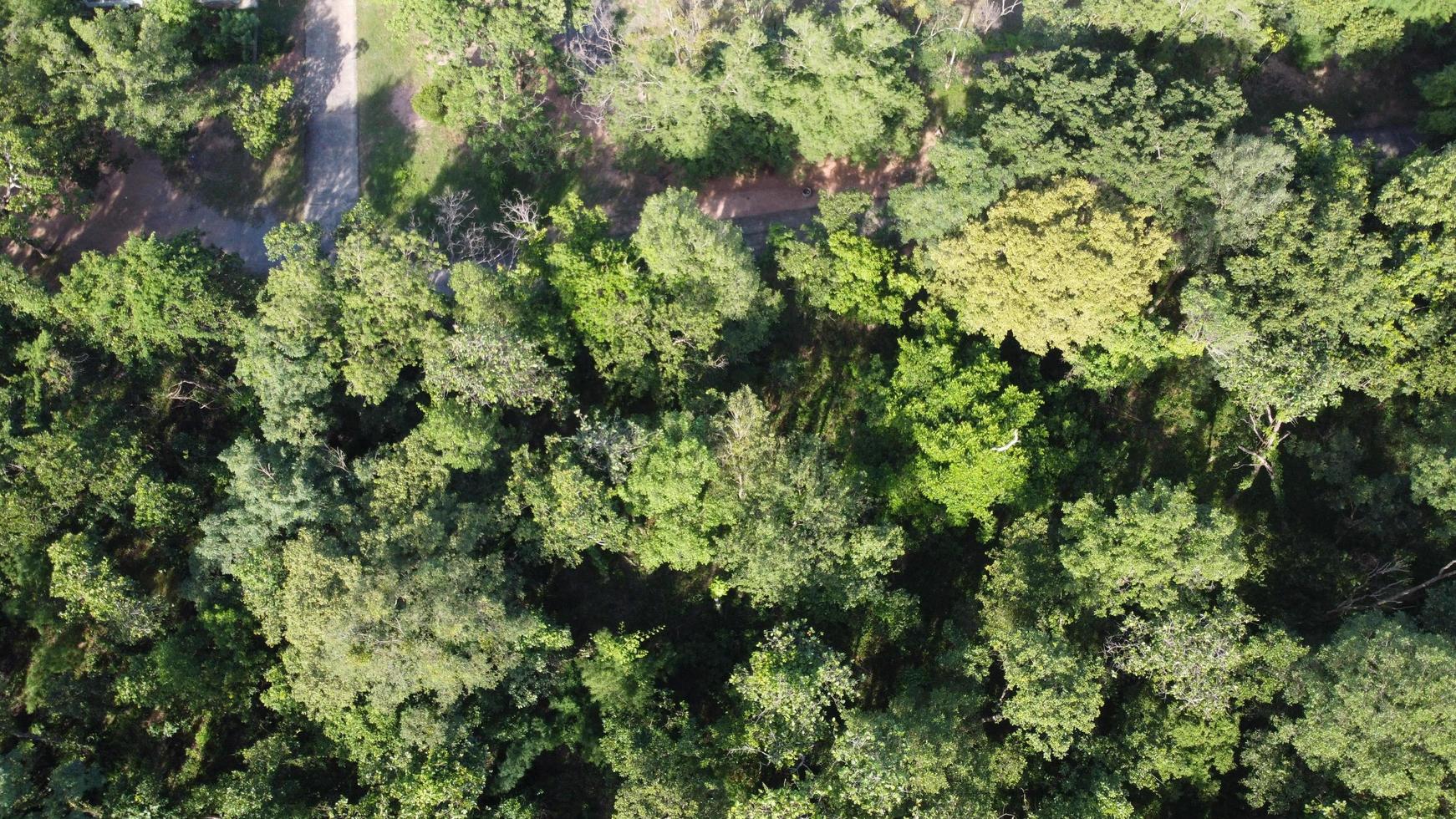 Beautiful aerial view to road with moutains and forest captured from above, photo