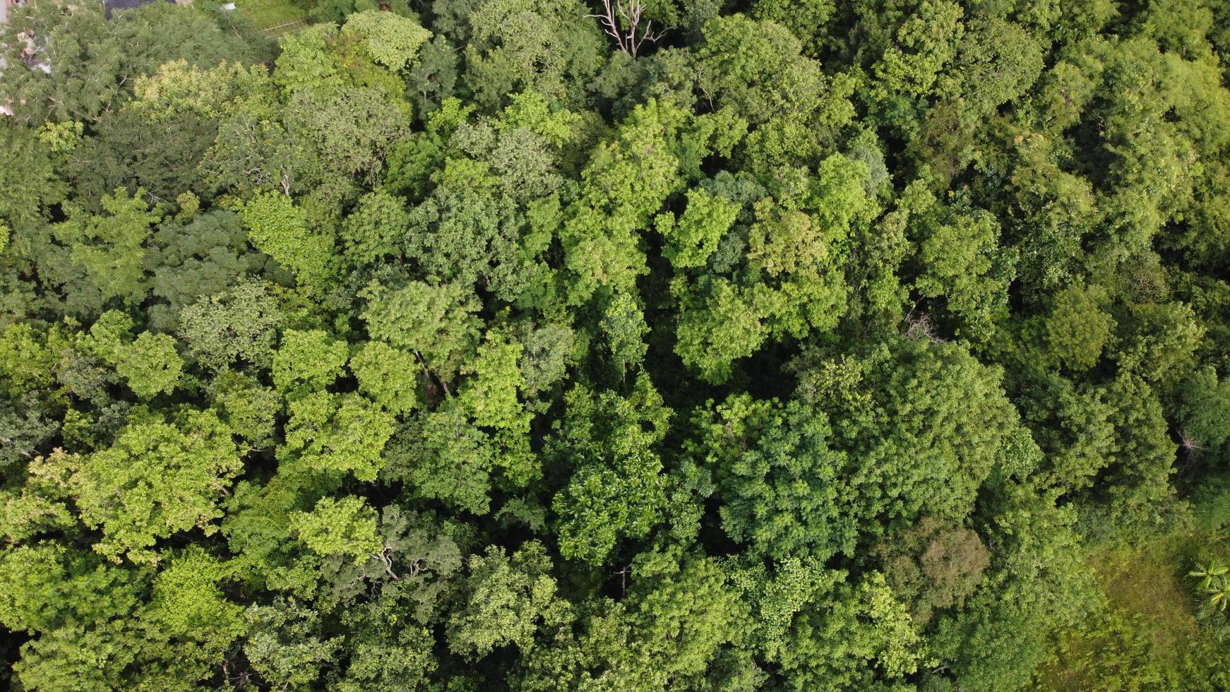 Beautiful aerial view to road with moutains and forest captured from above, photo