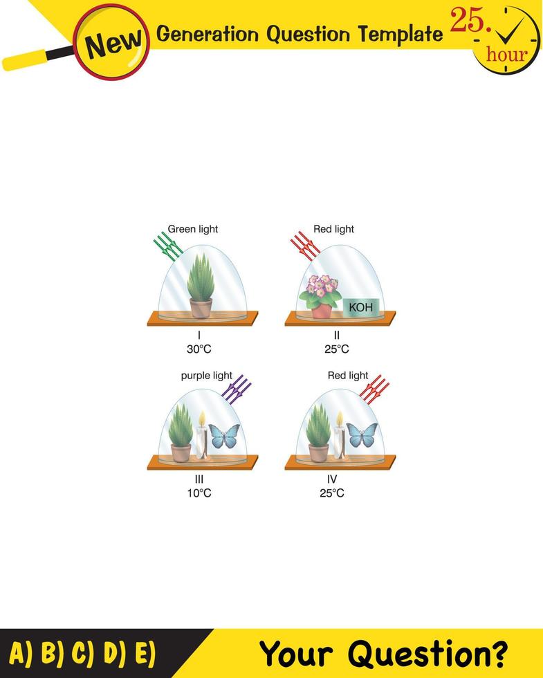 Physics, Joseph priestley's experiment, Photosynthesis phenomenon of