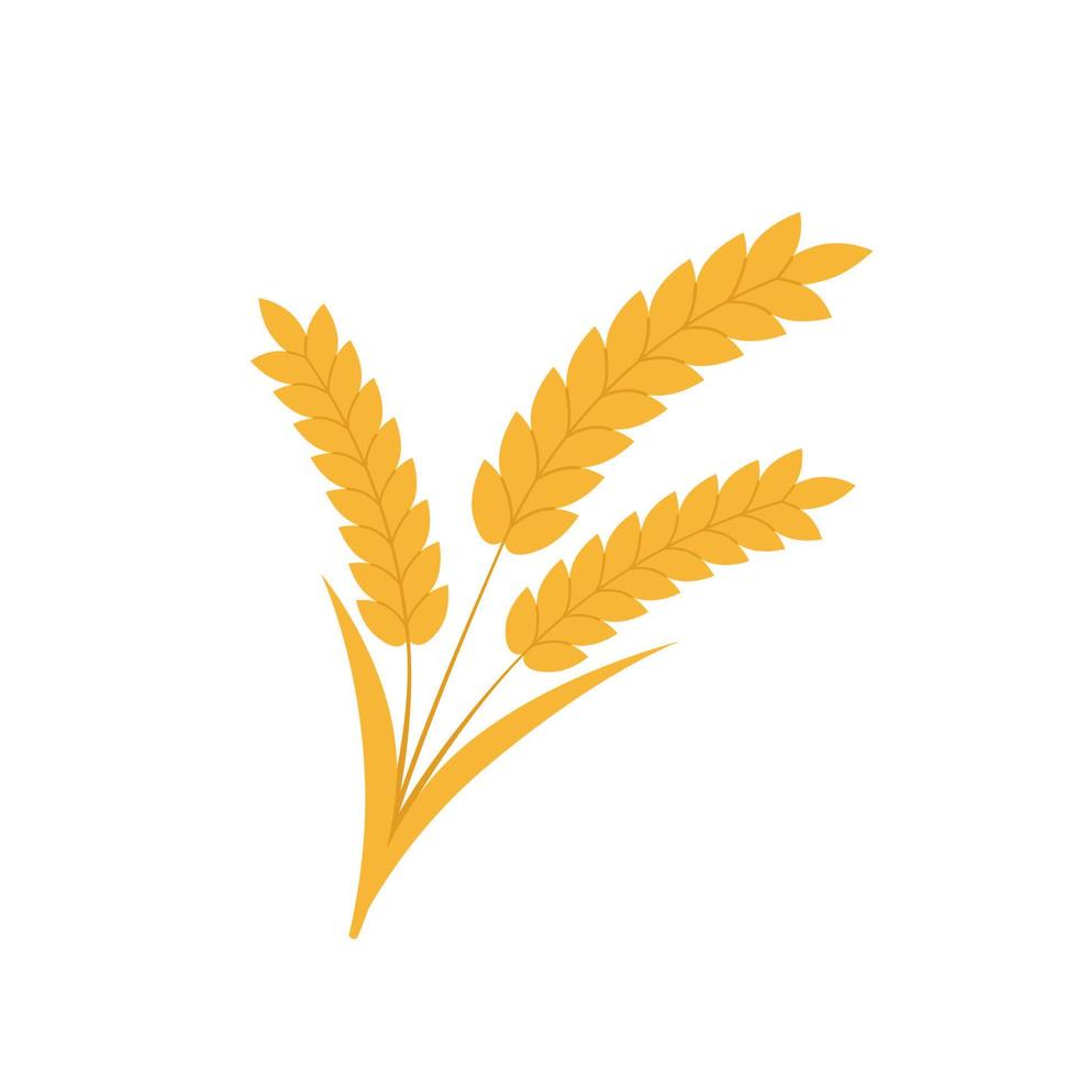 Bunch of golden wheat vector