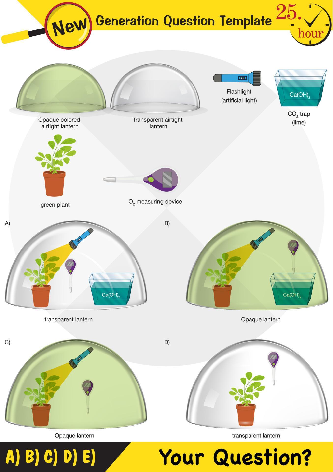 Physics, Joseph priestley's experiment, Photosynthesis phenomenon of