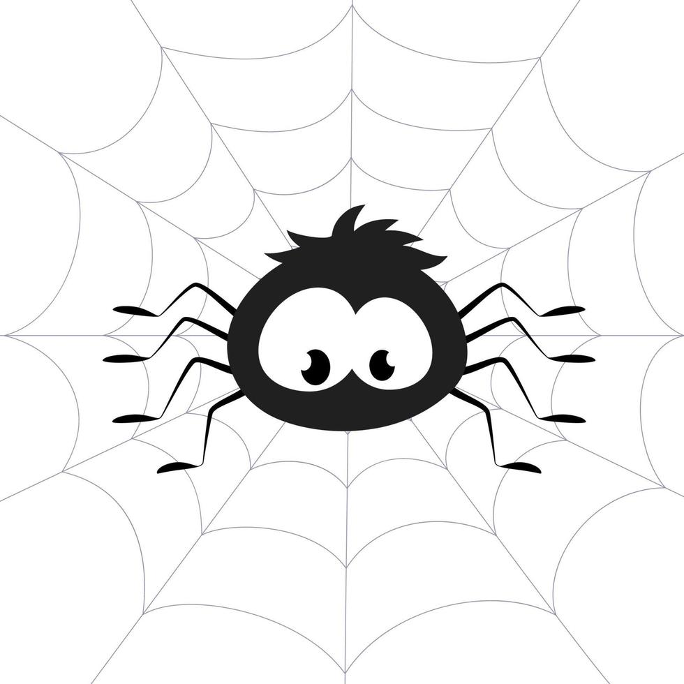 A spider sits on a spider web. Vector illustration on a white background.