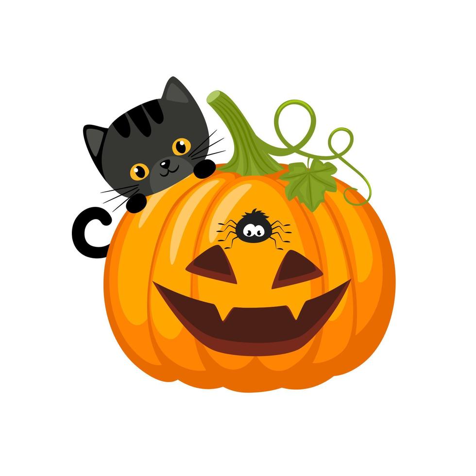 calabazas de halloween con gato negro y araña. calabaza aterradora con sonrisa. ilustración vectorial aislado sobre fondo blanco. concepto de halloween y otoño. vector