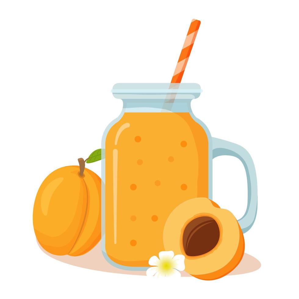 Jar glass with smoothie apricot shake cocktail.Natural tropical fruit juice.Vector illustration in flat. vector