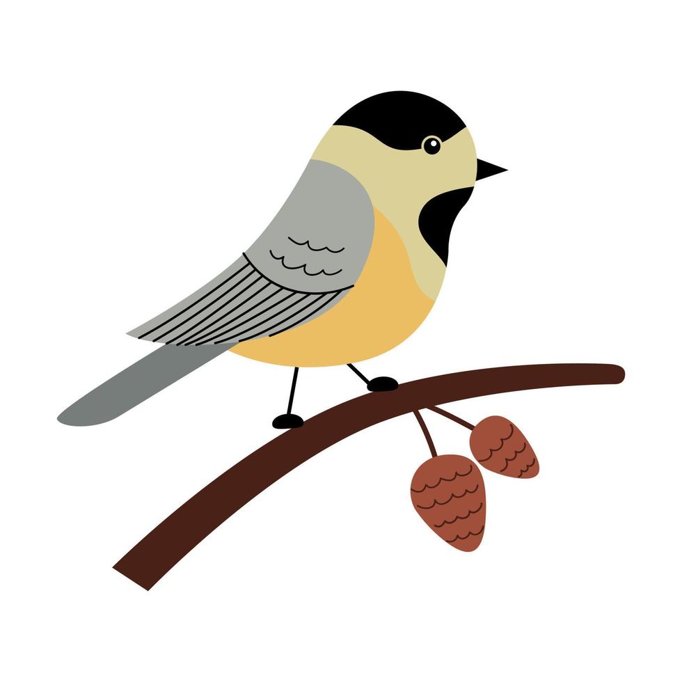 Cute chickadee on a branch with cones. Vector illustration in a trendy hand drawn style. Perfect for a print, postcard or label. Stylized character