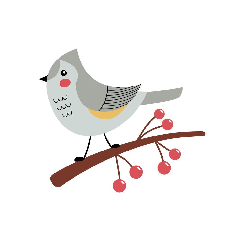 una teta con un mechón en una rama con bayas. ilustración vectorial de un pájaro gris en un estilo moderno y plano. perfecto para una impresión, postal o etiqueta vector