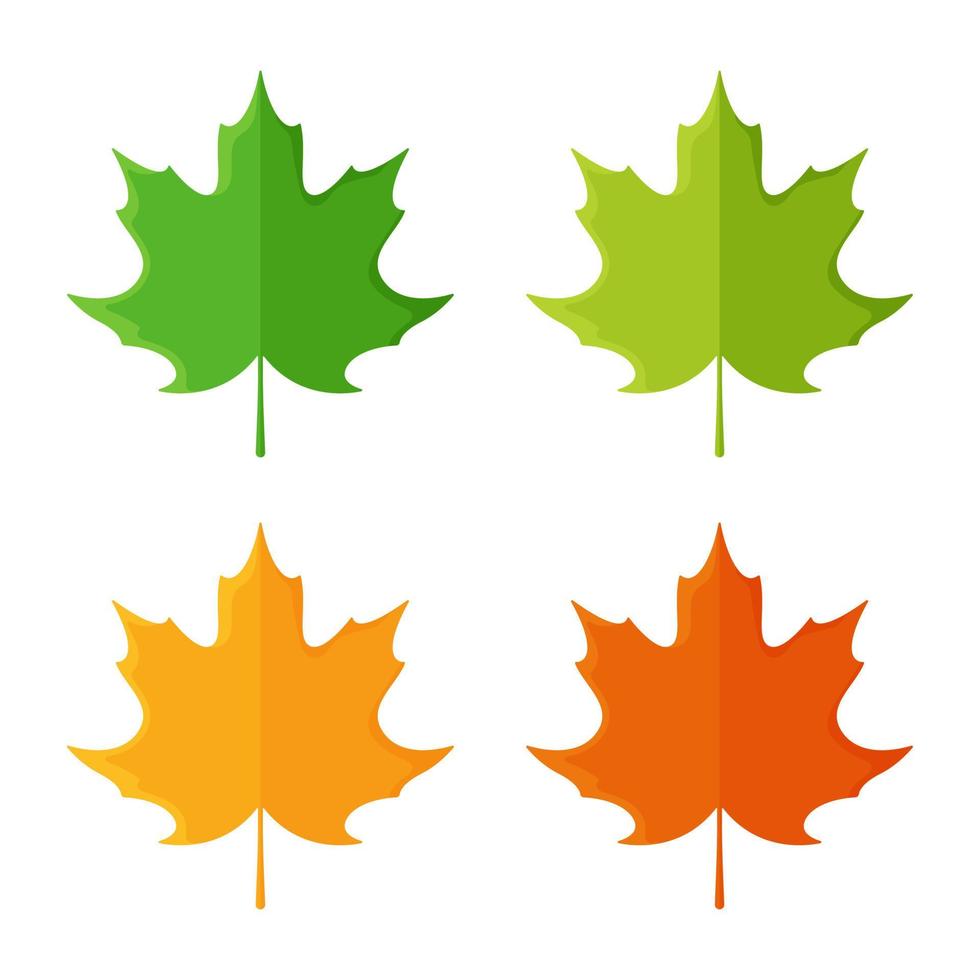 ilustración vectorial de arce verde, lechuga, hoja amarilla y roja. establecer. hojas. simbolismo de Canadá. vector